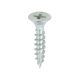Classic Screw PZ2 Stainless Steel 5.0mm (200)