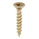 Classic Multi-Purpose Screws (200pcs)