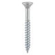 Twin Thread Woodscrews 12
