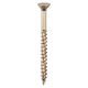 Velocity Torx Head Woodscrew